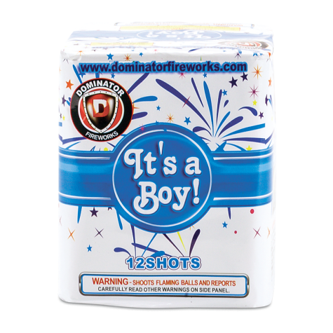 Keystone Fireworks Gender Reveal Cake